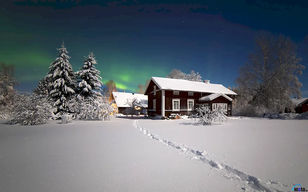 Carpathian village in winter