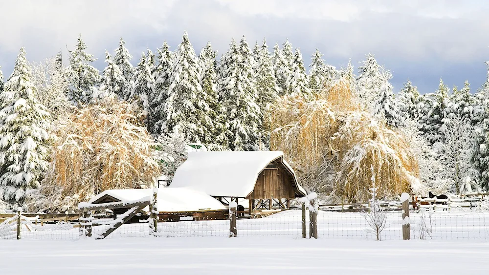 Siberian village Ural in winter