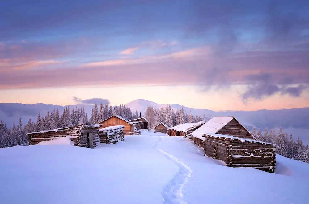 Barsukovo village in winter Vologda