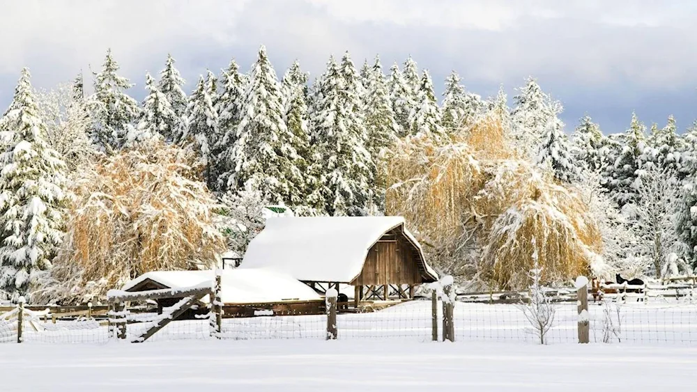 Hungarian village winter