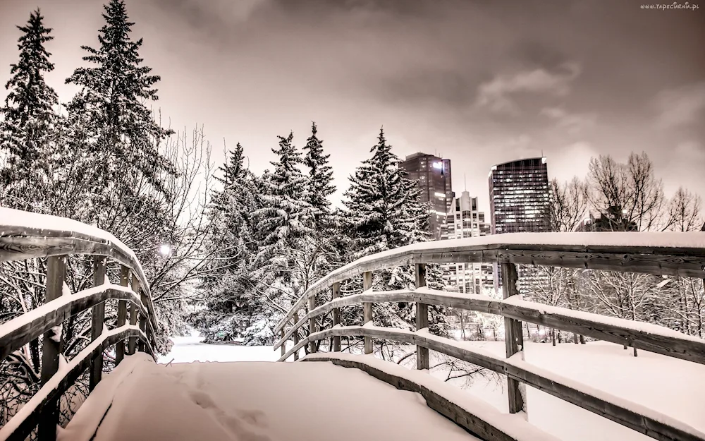 The Bridge New York Central Park winter