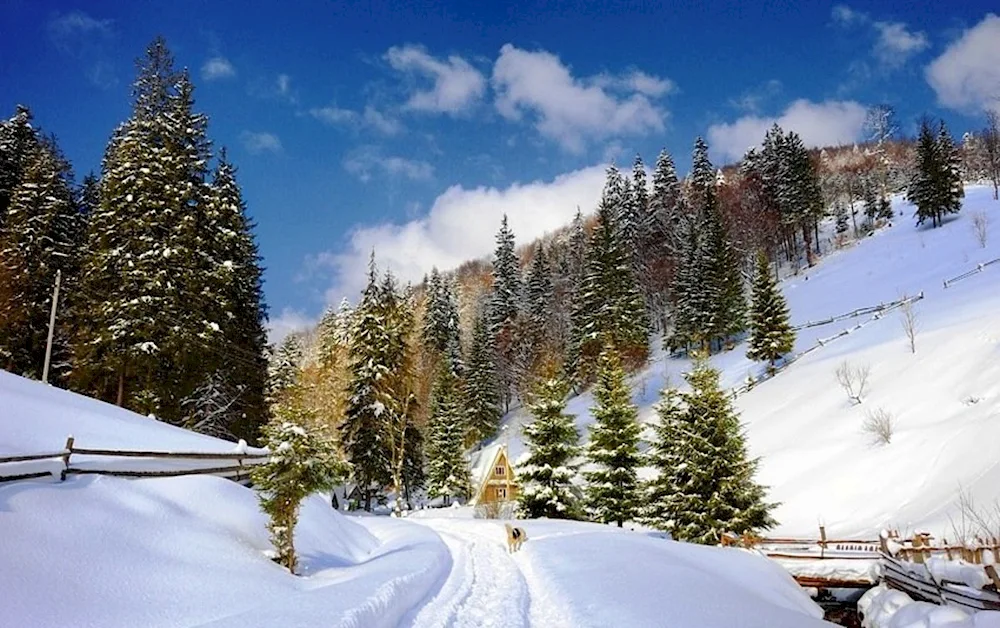 Christmas in the Carpathians