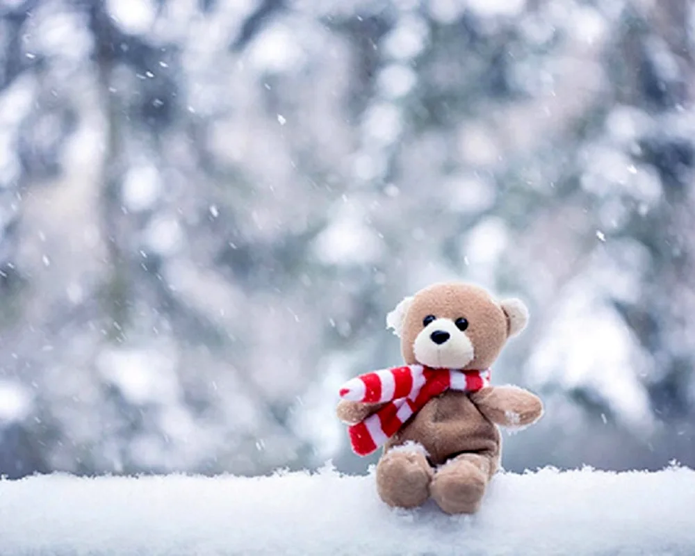 Winter snowflakes