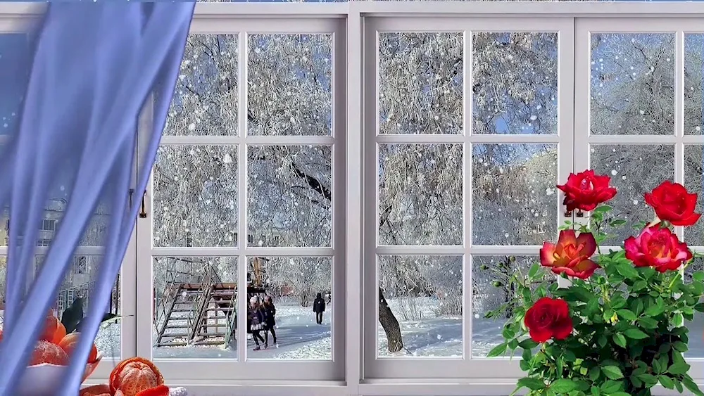 Winter window