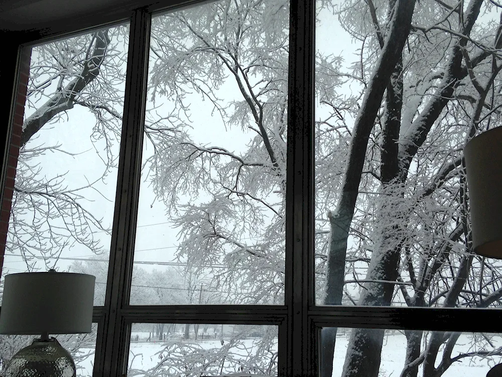 Snow outside the window