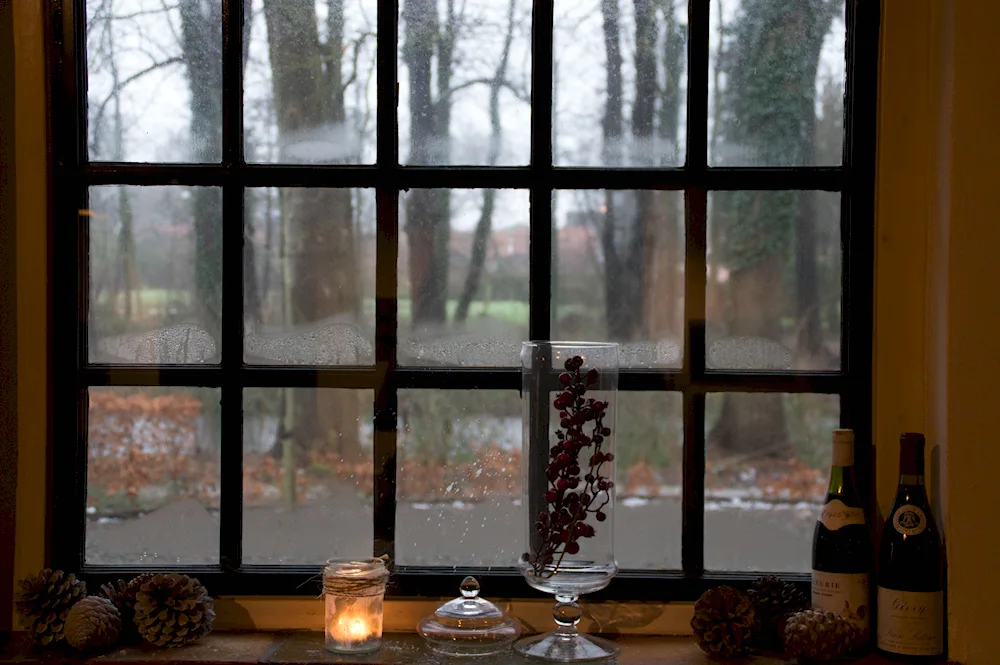 Winter window