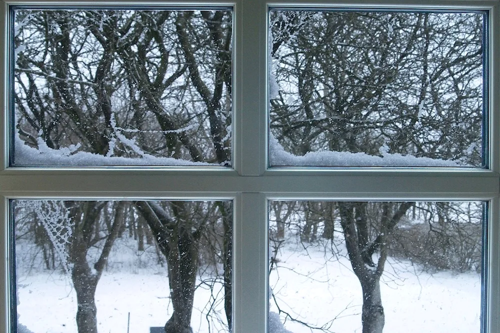 Winter window