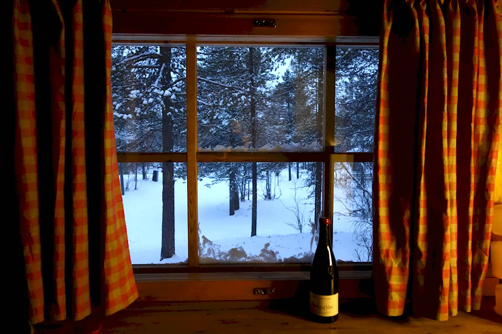 Winter window