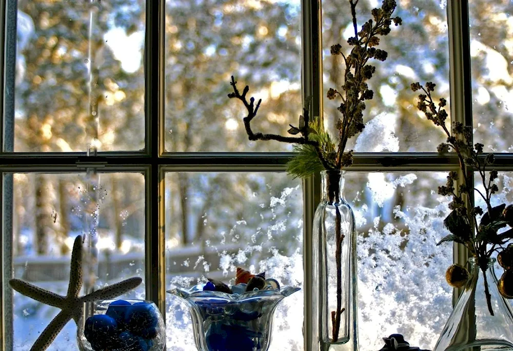 Winter window