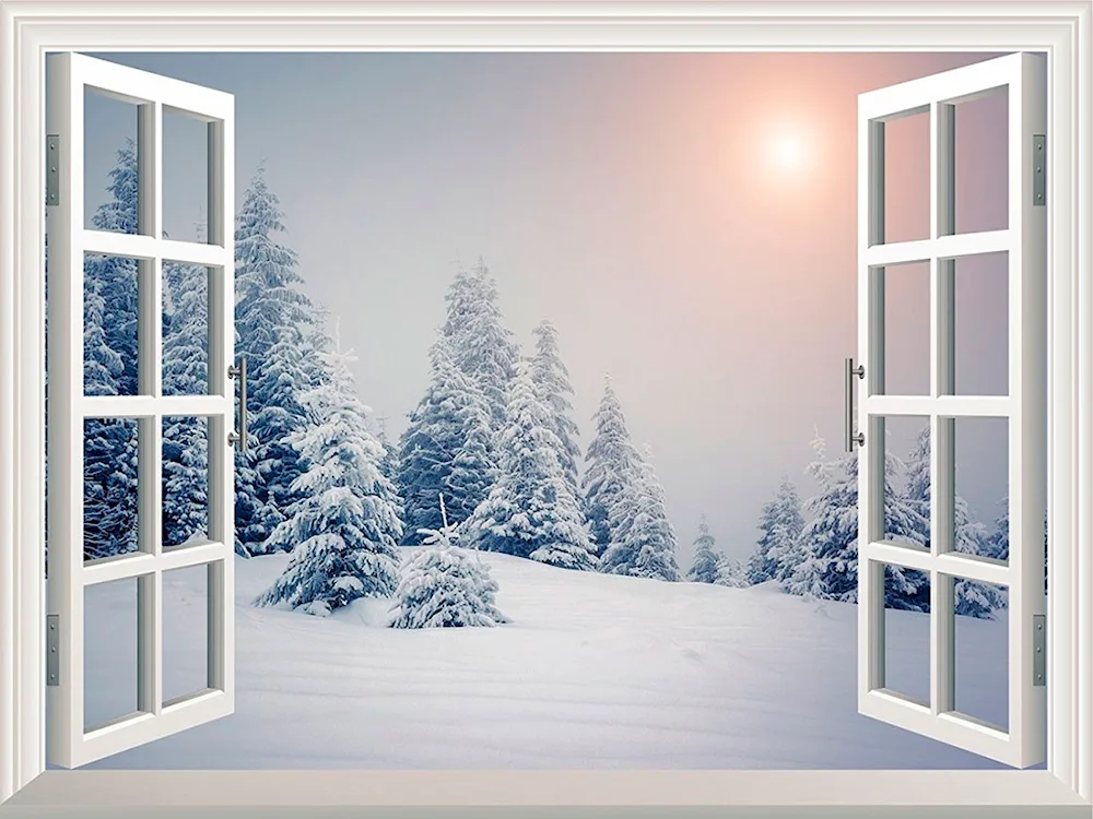 Winter window