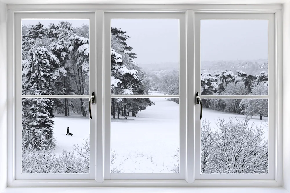 Winter window