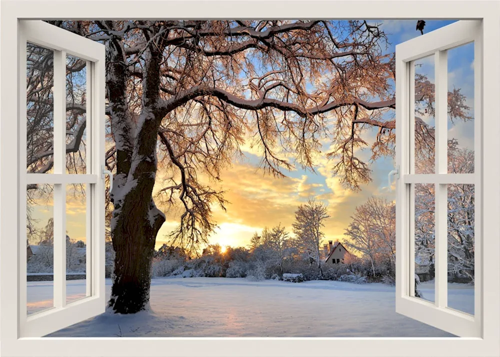 Winter window with winter landscape