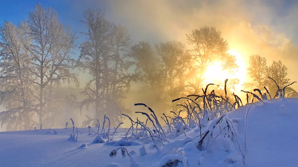 Tver winter temples