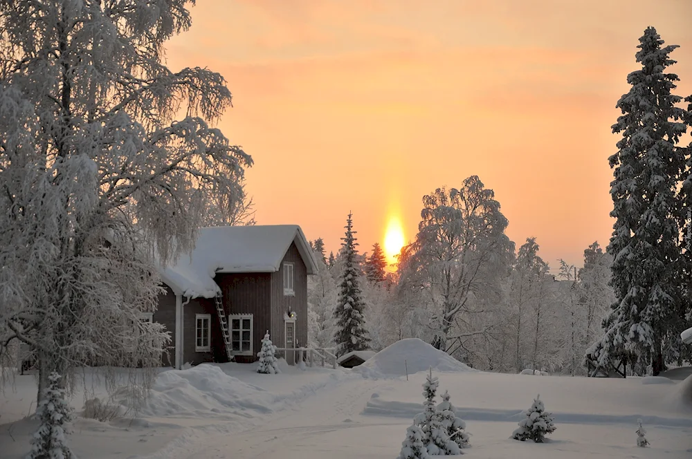 Winter landscape