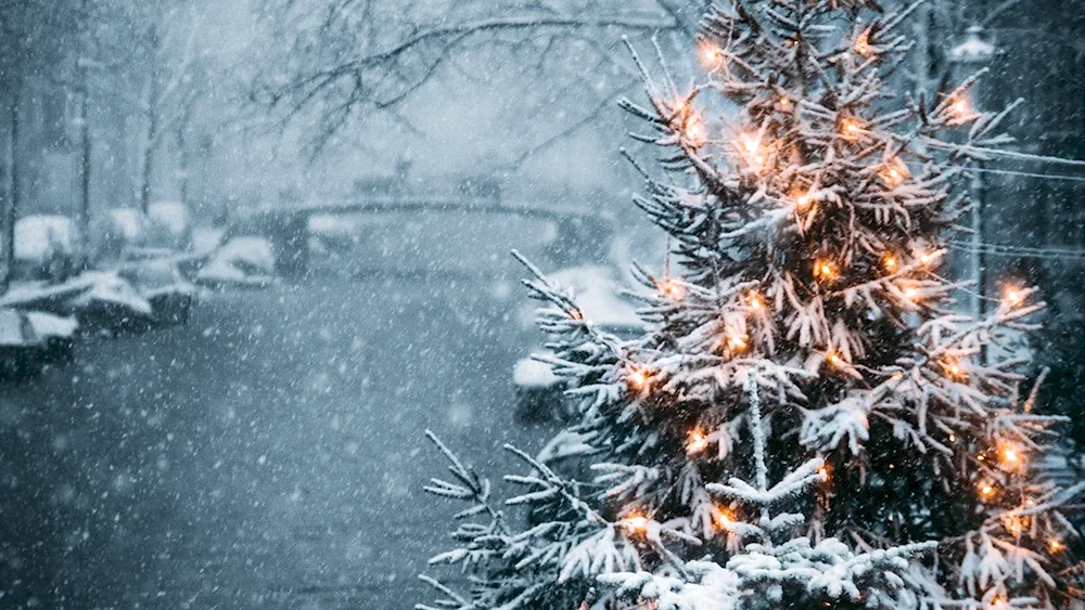 Man in winter forest