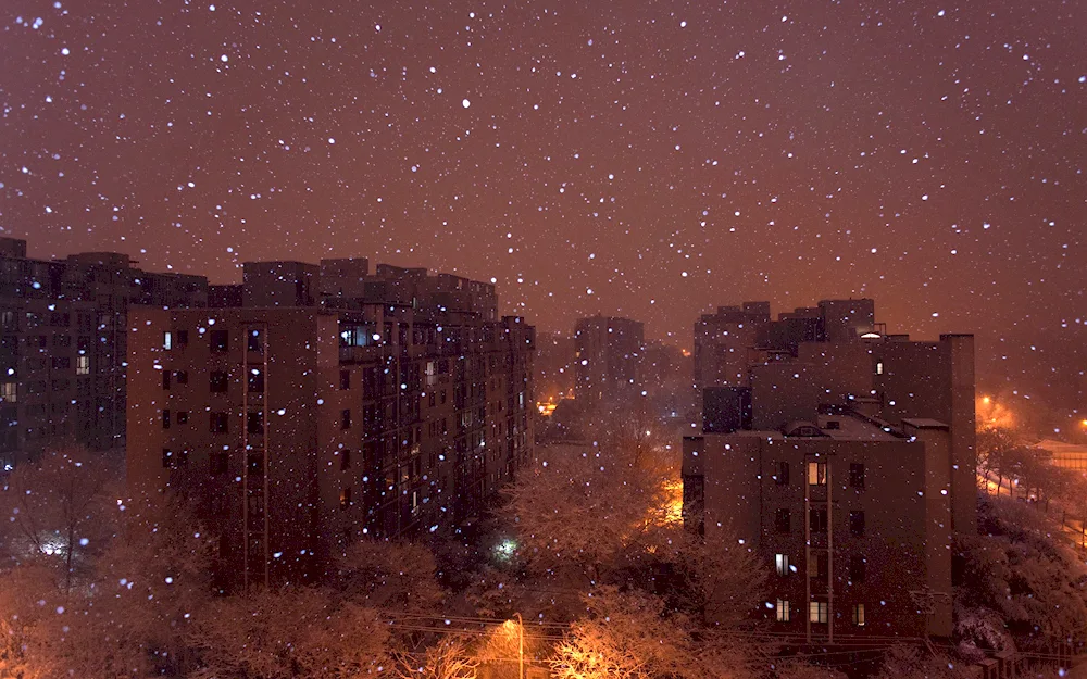 Winter night in the city