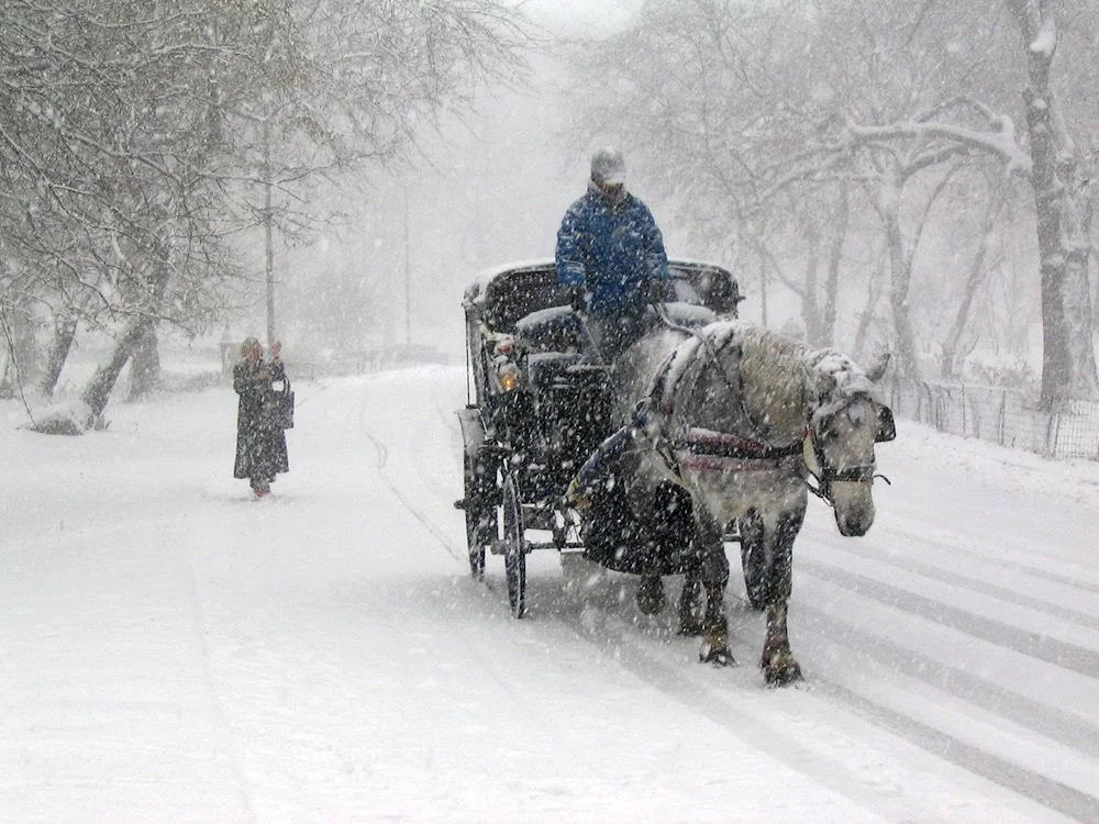 Winter carriage