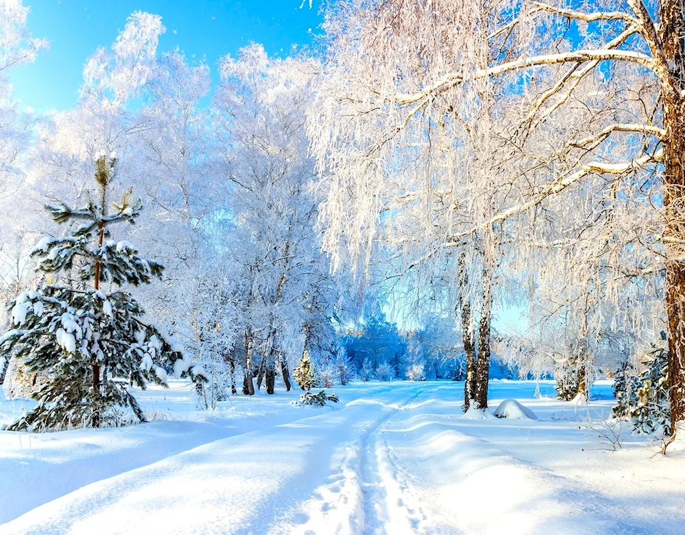 Winter background