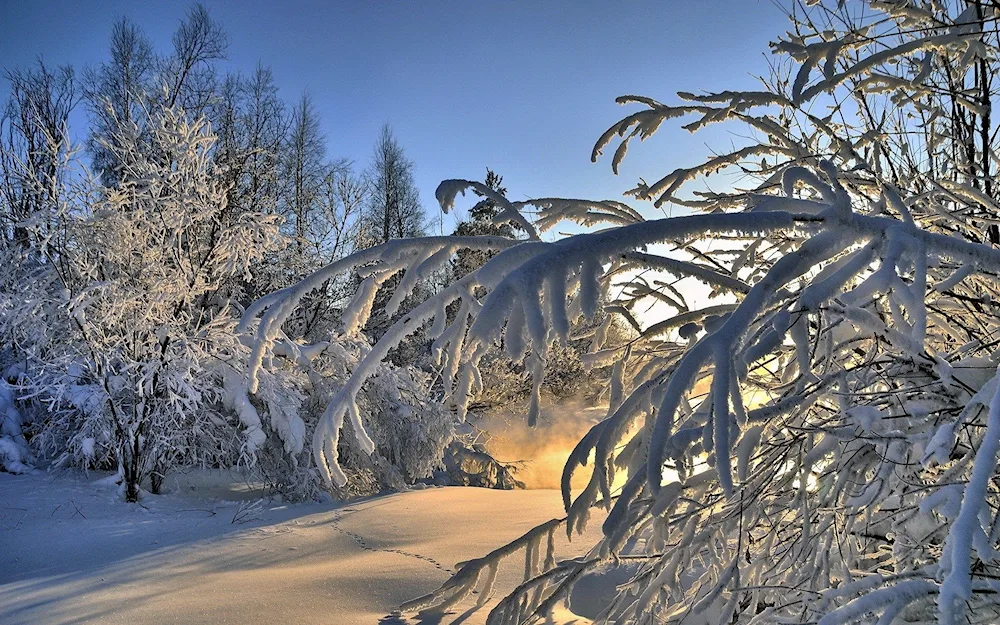 Winter nature