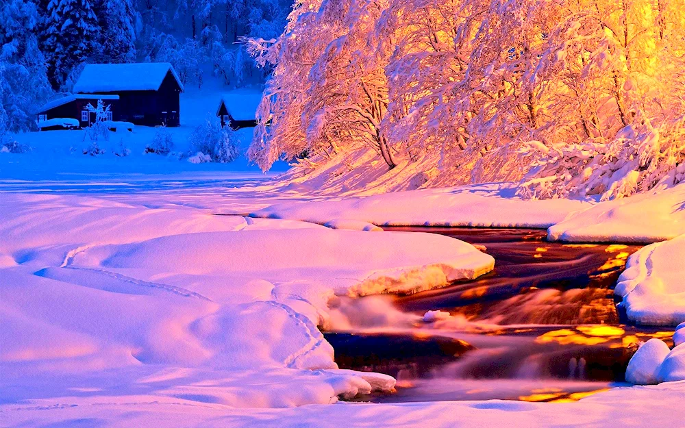 Winter house