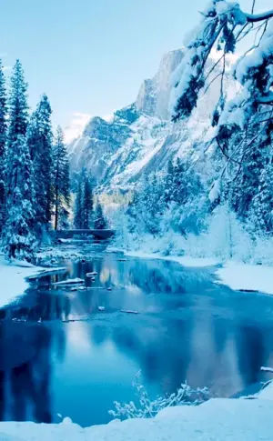 Winter nature