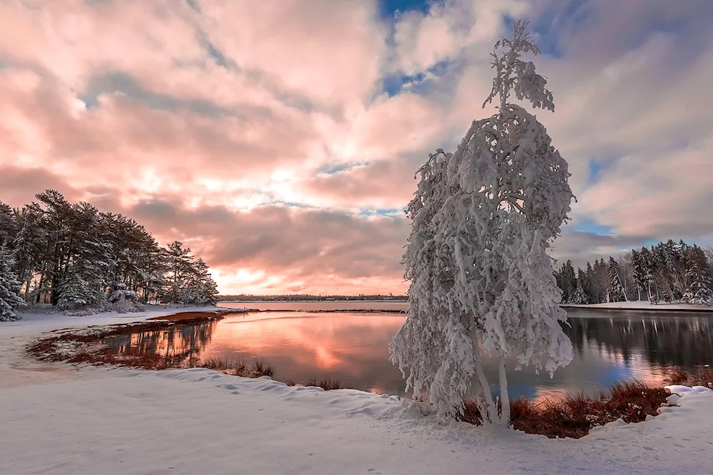 Winter lake