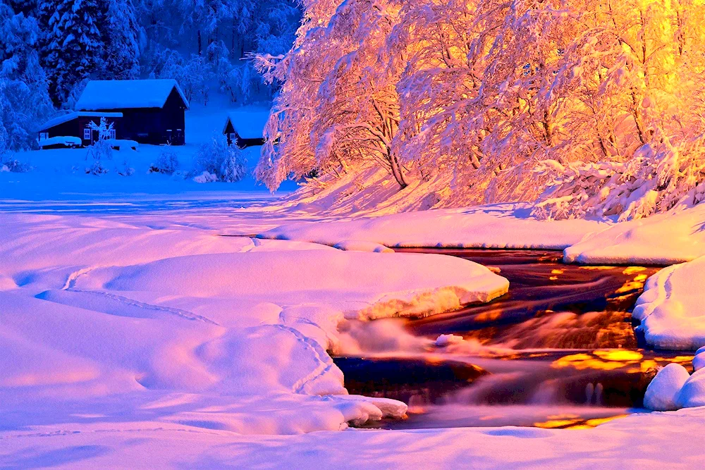 Winter nature