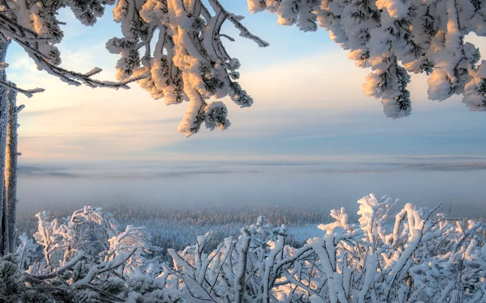 Winter cottage