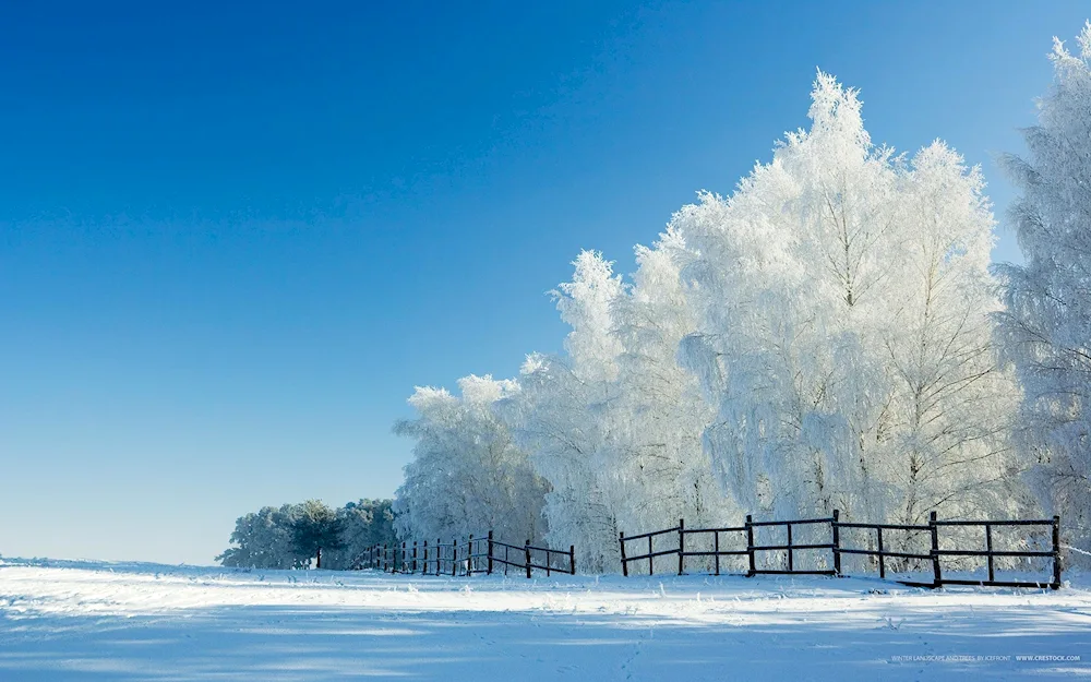 Winter nature