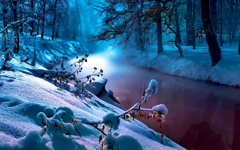 Winter nature