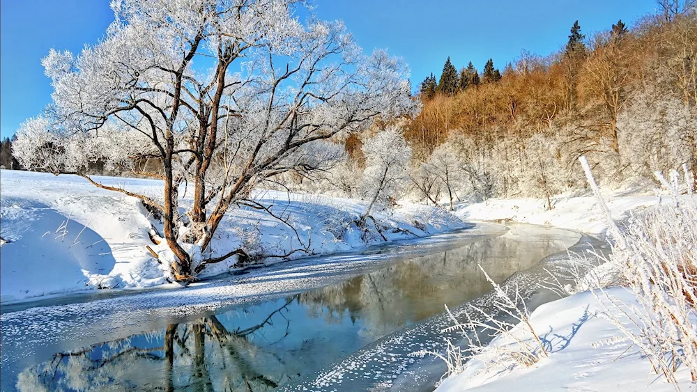 Winter river