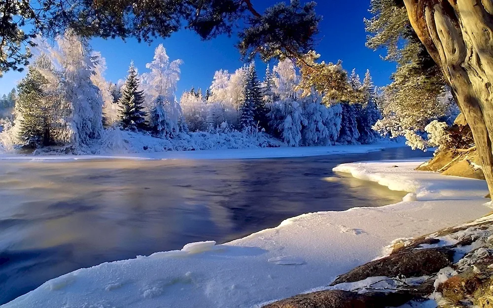 Winter river