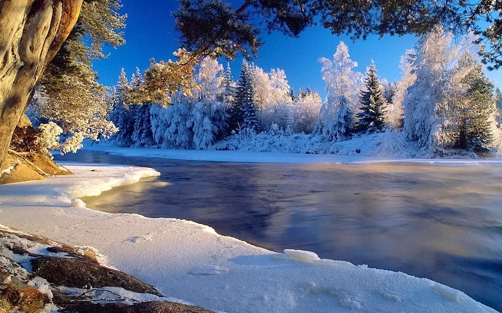 Winter river