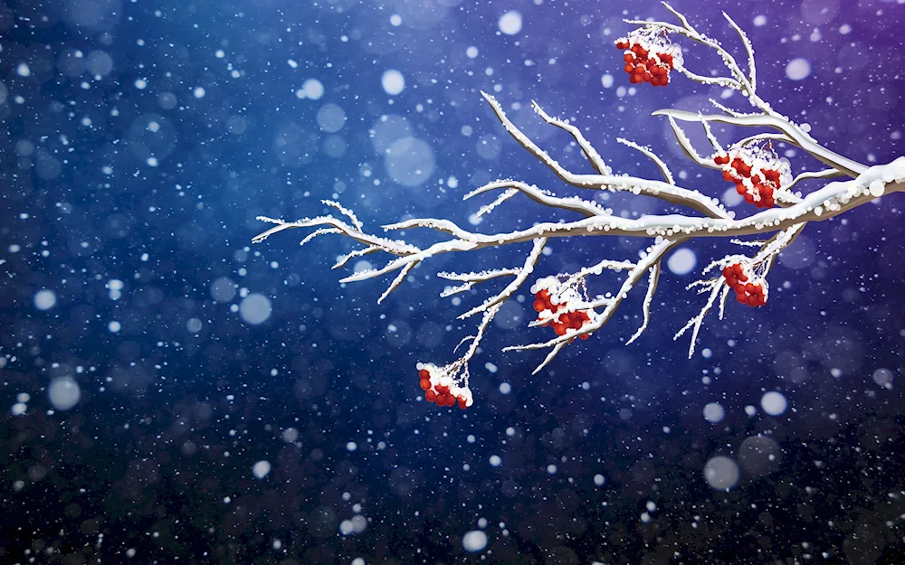 Winter branch