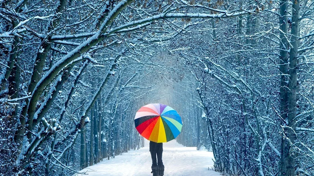 Stats about winter