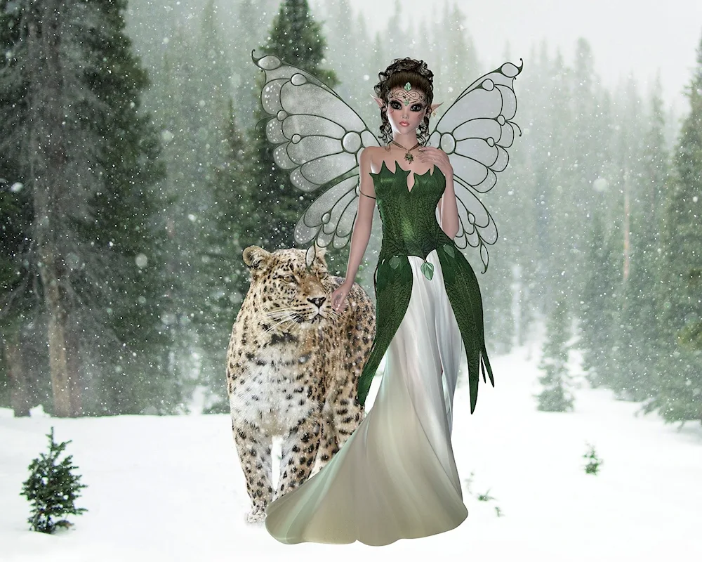 Winter Fairy