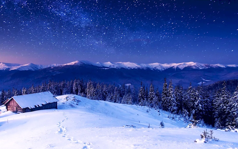New Year's winter