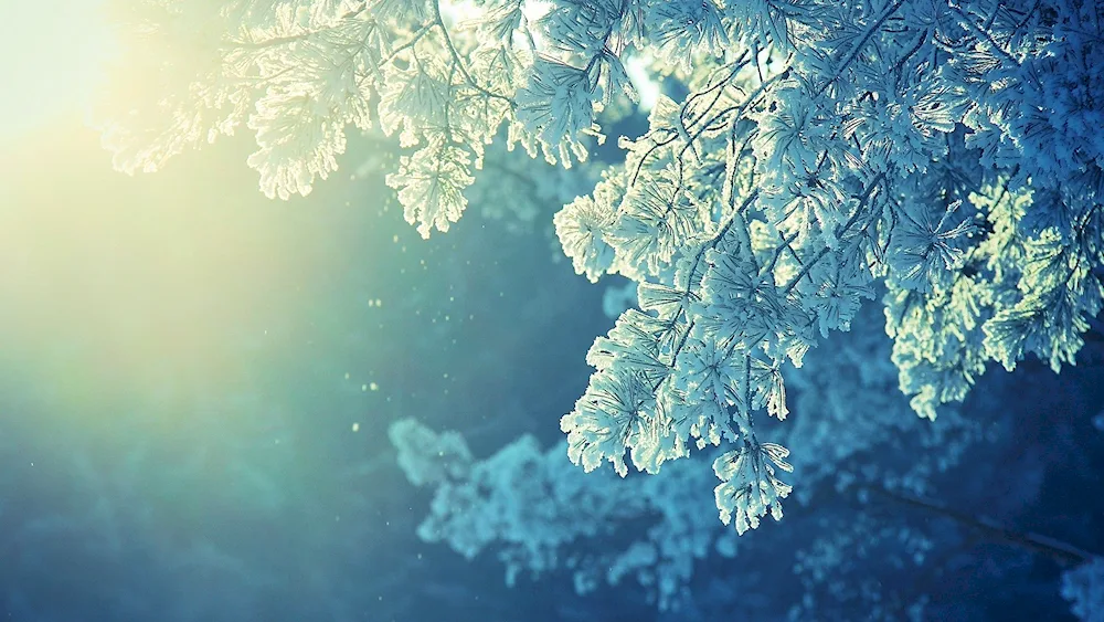 Winter wallpaper