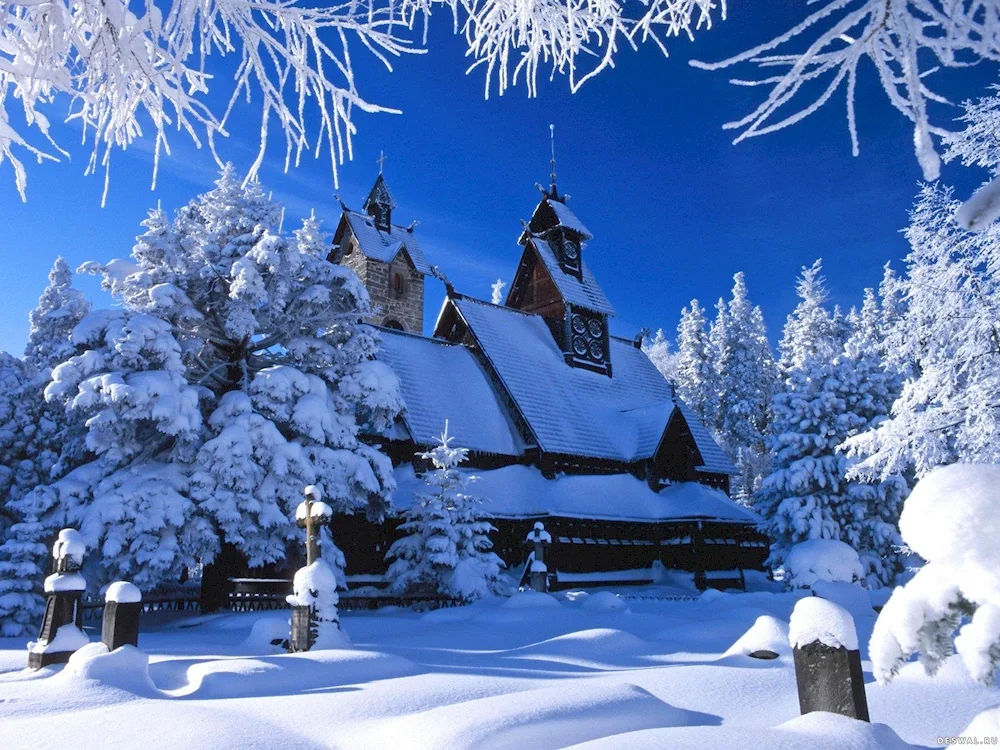 Winter Kaguya Naruto
