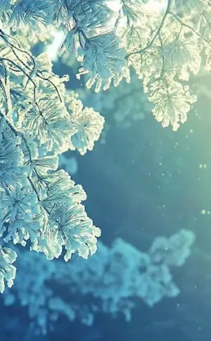 Winter wallpaper