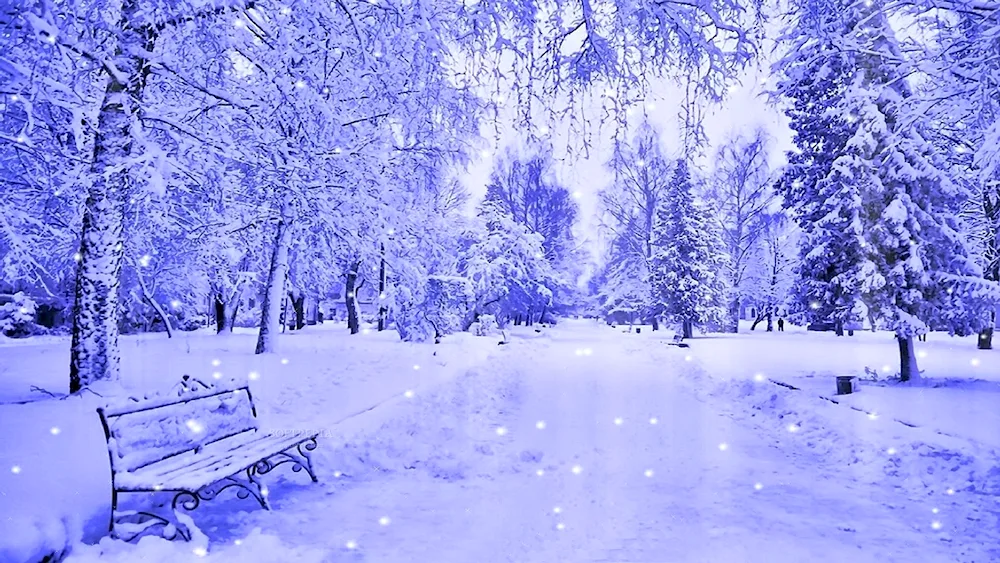 Winter wallpaper