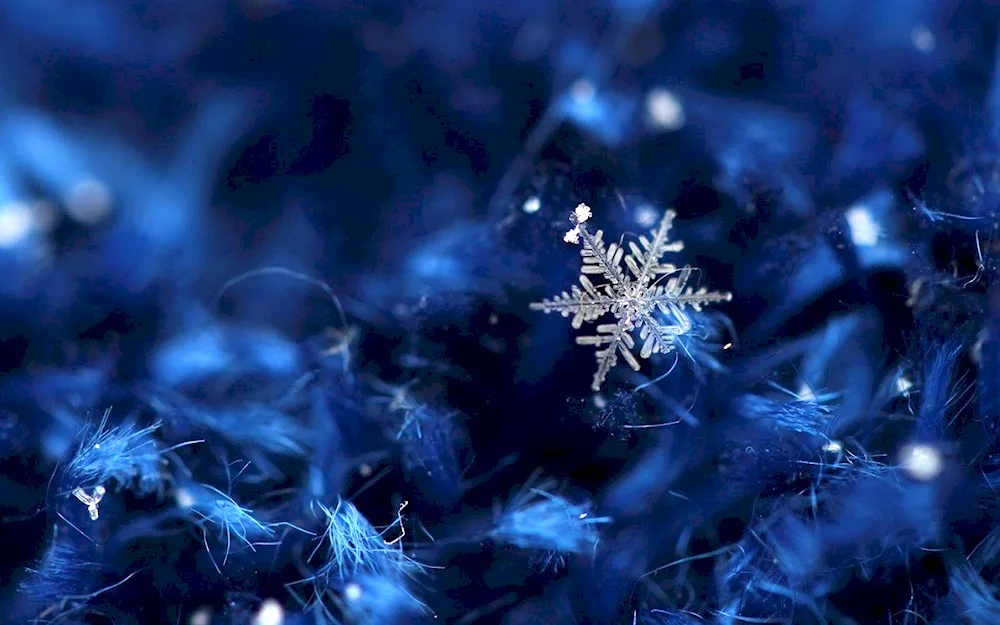 Winter snowflakes