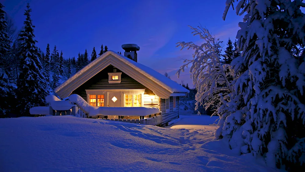 Winter house