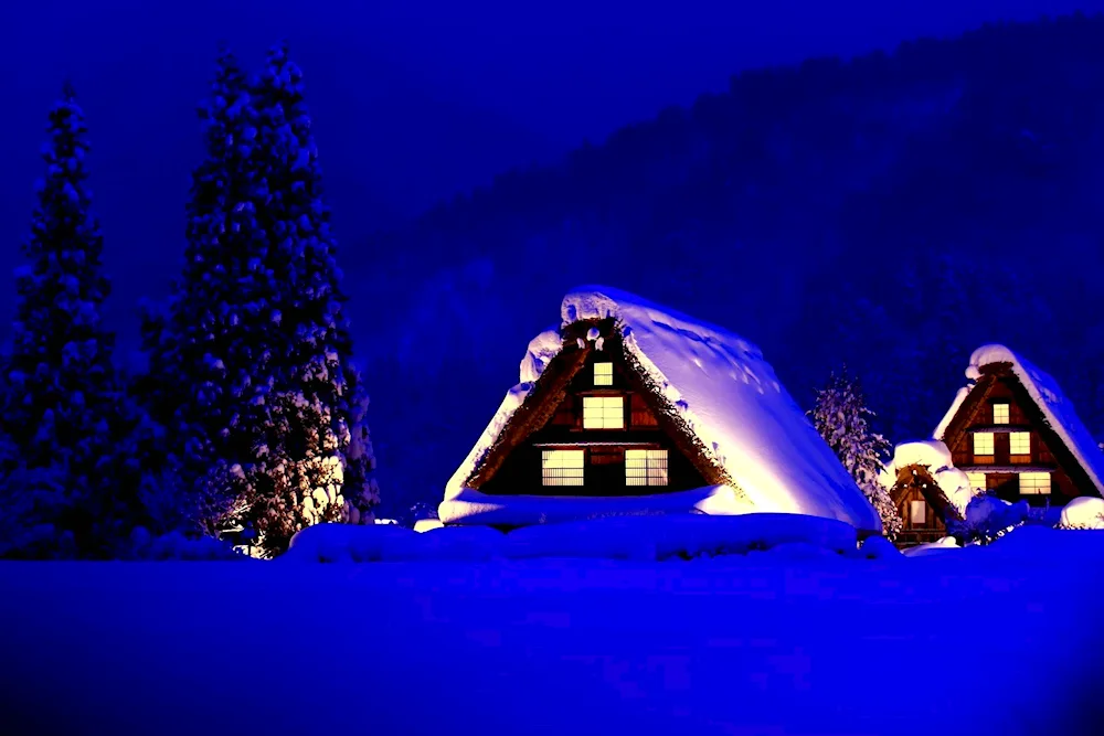 Winter house