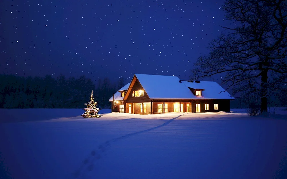 Winter landscape