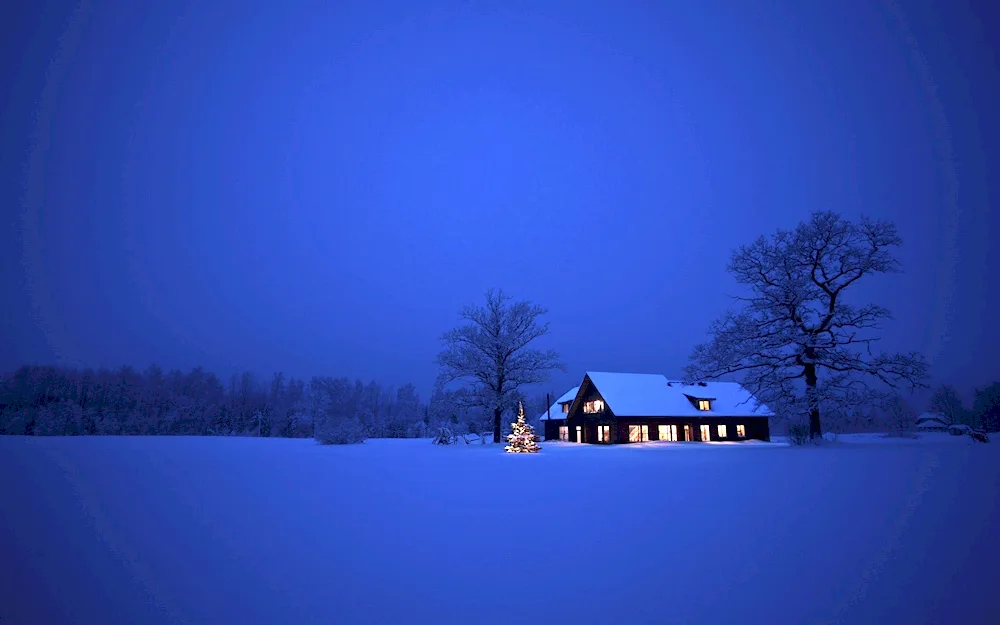 Winter cottage