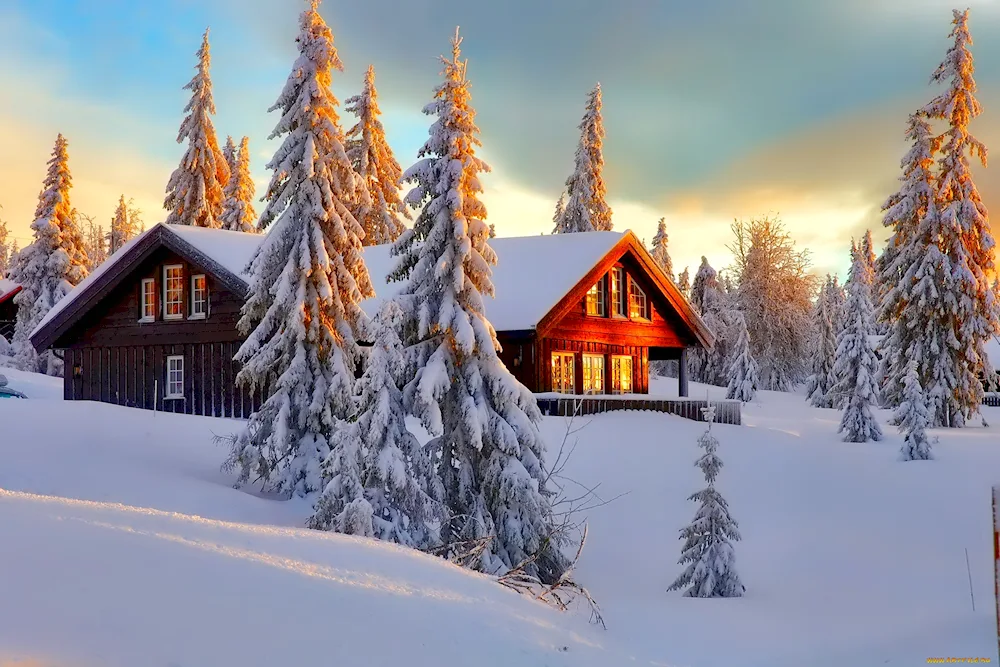 Winter forest house