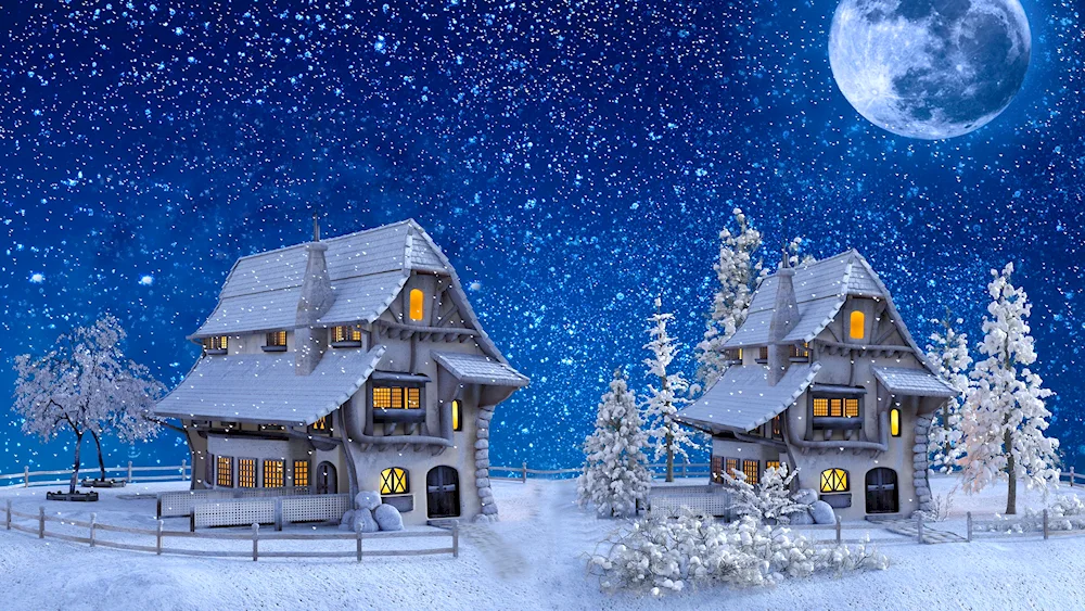 Winter house