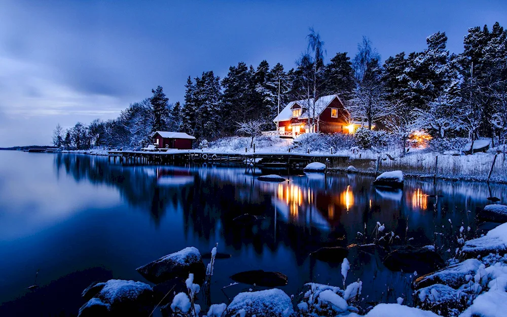 Winter house
