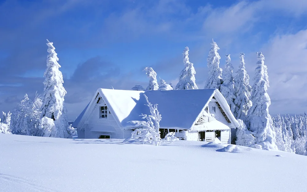 Snowy cabin